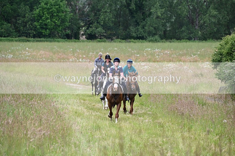 WJ6_8171 - Camera 1 Gallops