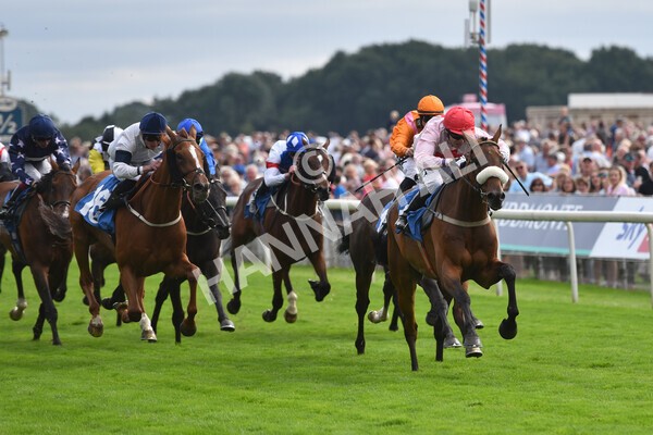 yr18082021r5-63 - Race 5 4.10pm Sky Bet Stakes