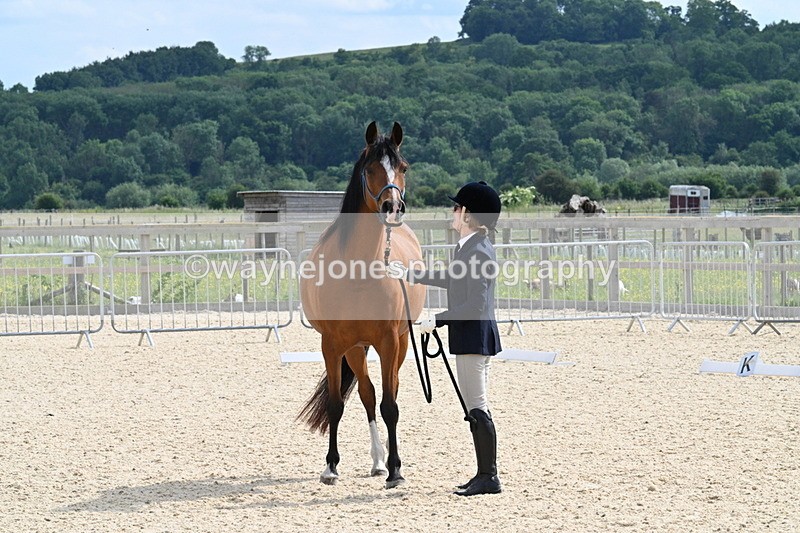 WJ7_8153 - Time 16:10 to 16:25