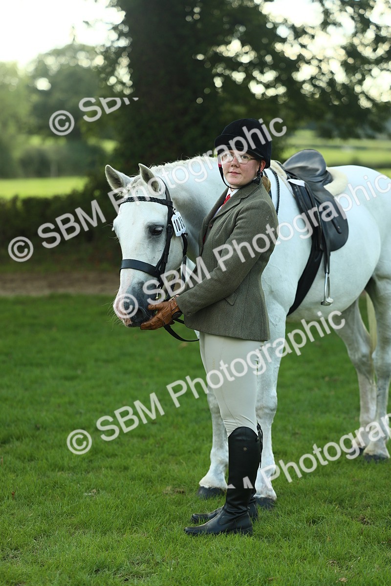 SBM_50731 - S33 - Working Hunter & Working Show Horse