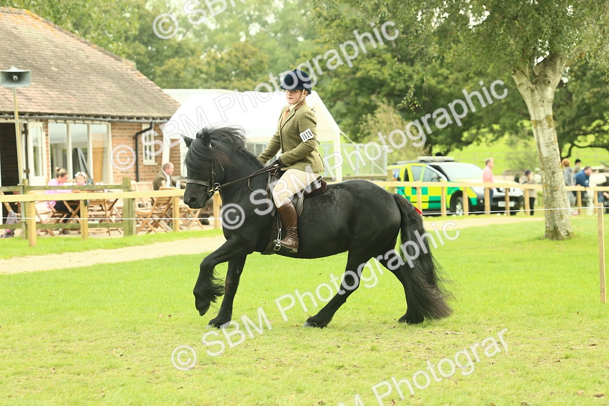 SBM_71930 - S60 - Mountain & Moorland Ridden Large Breeds