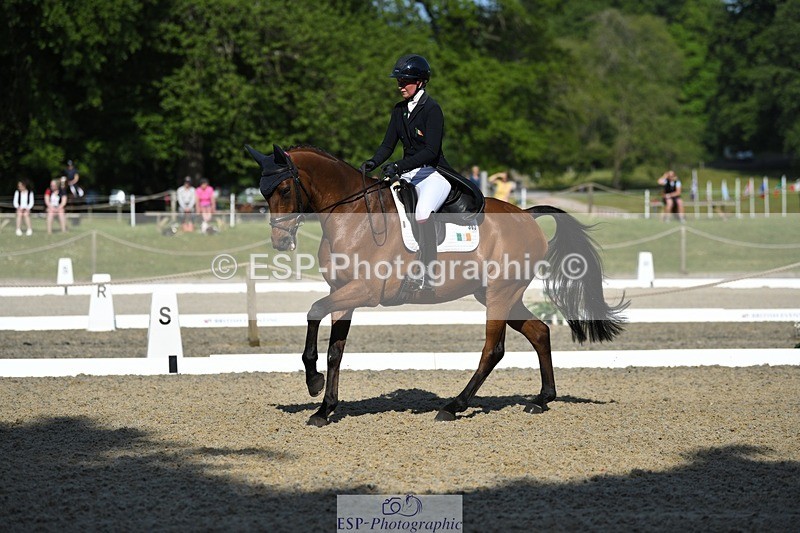230525-091444-01562 - 303-JESMOND_RENARD-Susie_Berry-WEDTrotUp+DR