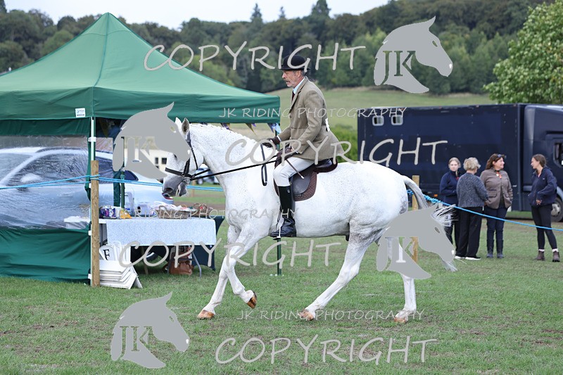 APP_4144 - Class 15a/b Pony club pony/Riding club horse