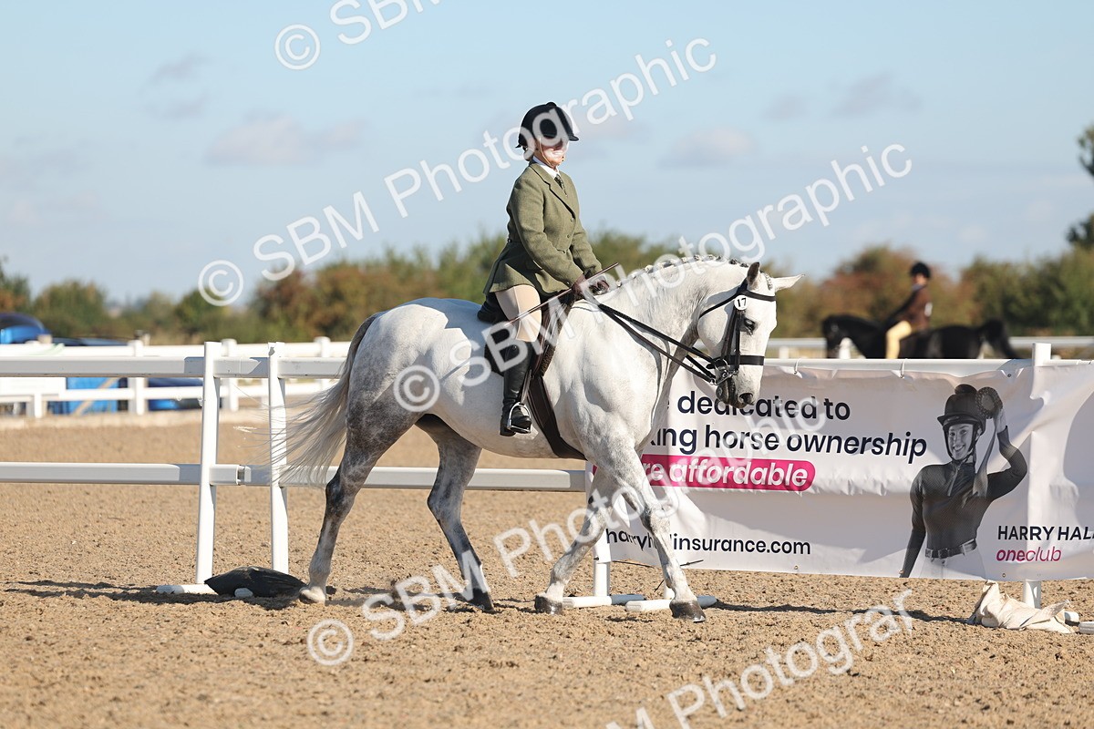SBM_12299 - Class 304 - Ridden part Bred Horse Pony