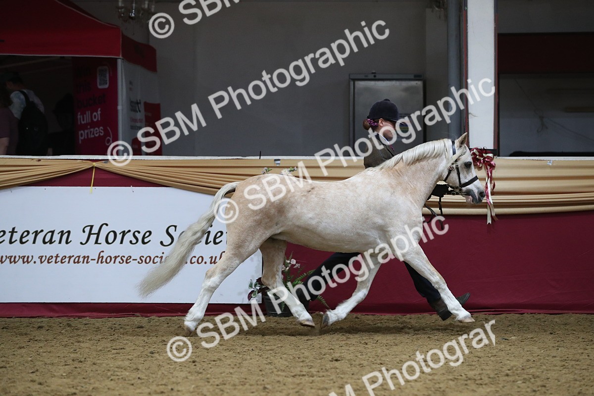 SBM_17183 - M&M Supreme Final Champ