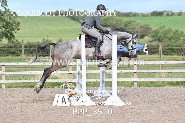 BPP_3510 - CLASS 36 SUN Senior British Novice/ 90cm Open