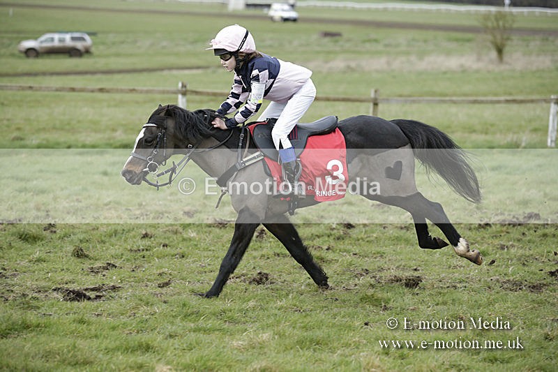 PtP 150320 0799 - New Forest Point-to-Point Larkhill 15/03/20