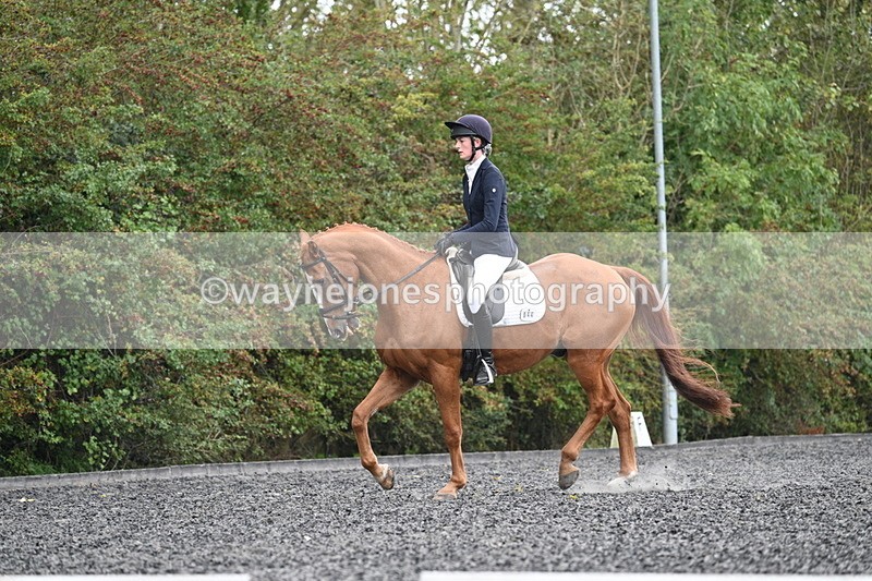 WJ7_6716 - Time 14:49 to 15:14