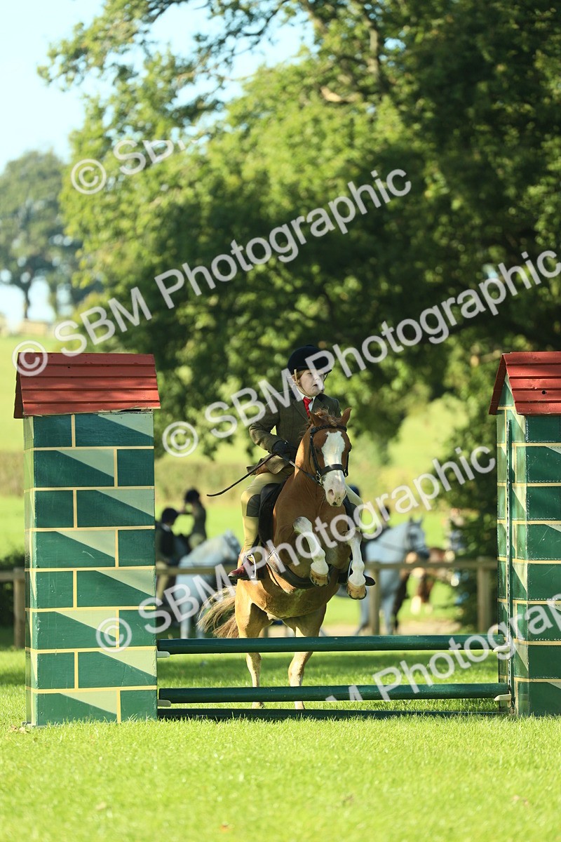 SBM_36344 - S29 - Novice & Newcomers Working Hunter Pony