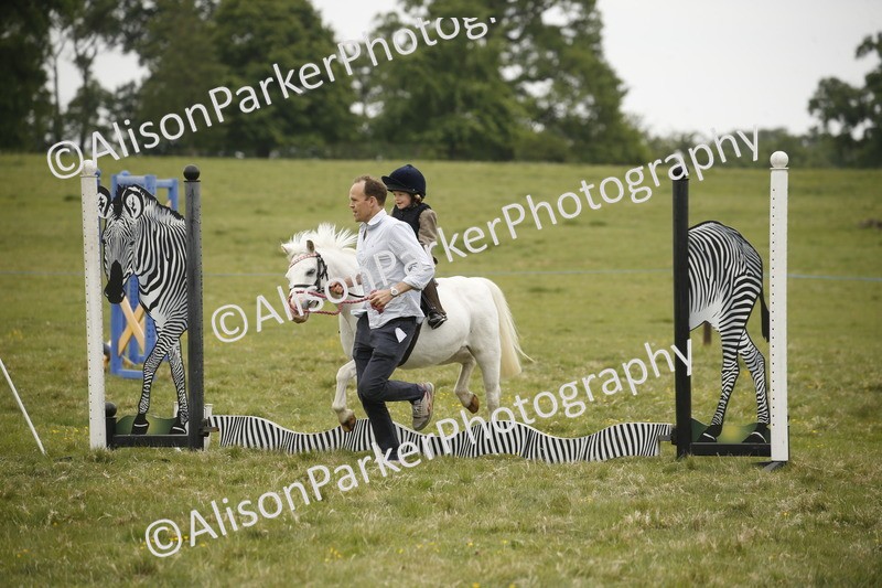 20250517-0175 - Class 1 - 30cm On Lead Rein