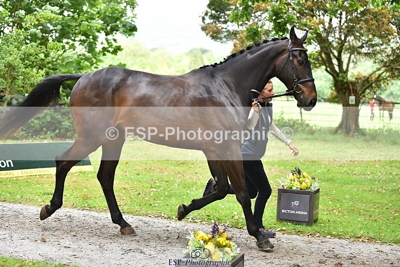 240522-170432-01368 - 237-UNDERDOG_Z-Izzy_Taylor