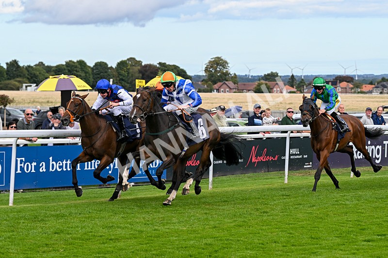 160926-Race 2-Northern Viola-9716 - Race 2 2.43pm Young Guns Nursery Handicap