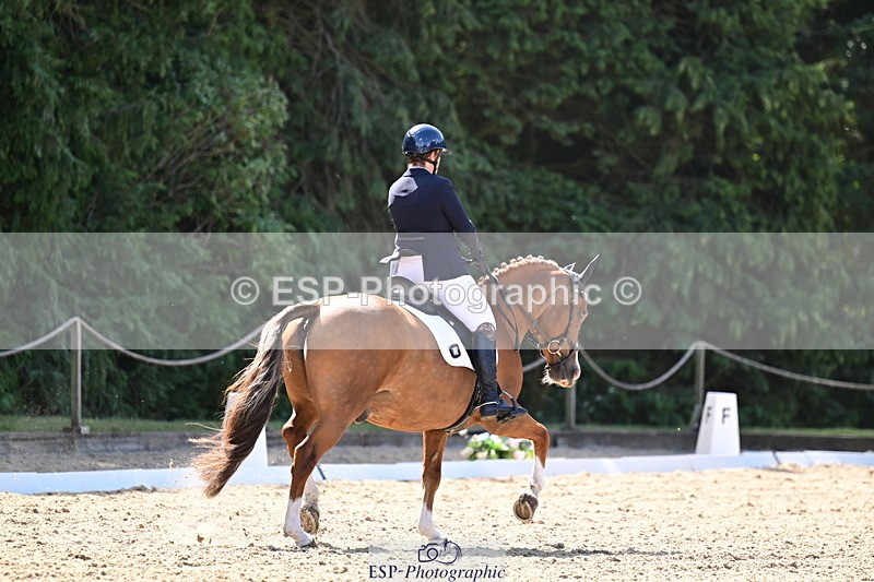 260731A-111423-00277 - Elementary Bronze 10.30 - Break