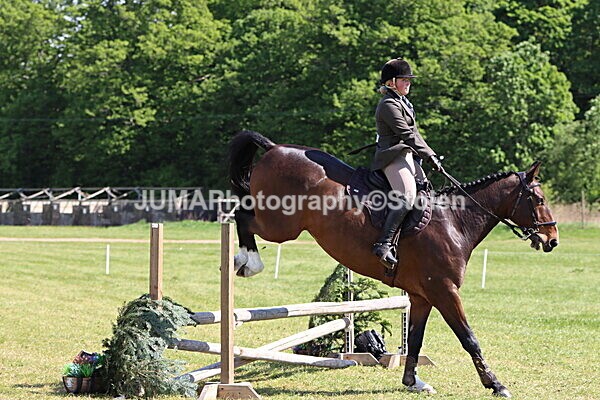 IMG_4449 - Working Hunter