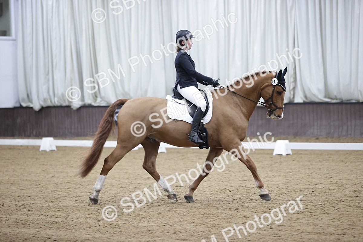SBM_007278 - Class 5 - Novice 5