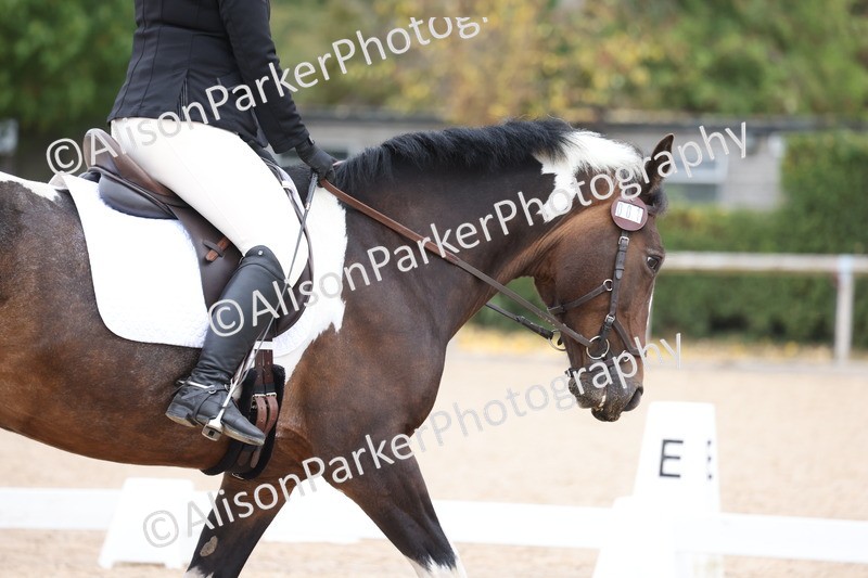 20250820-0124 - Class 9 - My Quest Prelim 3