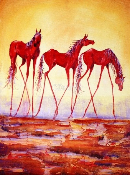 Adventurous - AVAILABLE PRINTS and Notecards