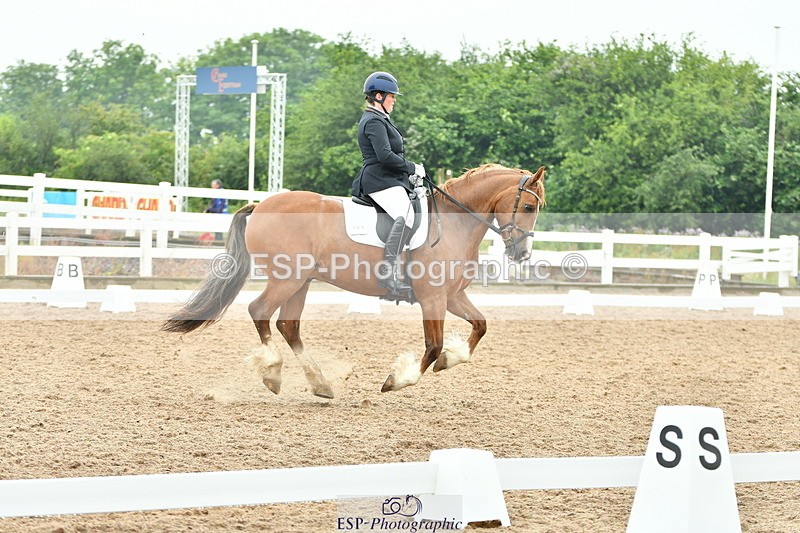 230708A-135410-02870 - Elementary 43