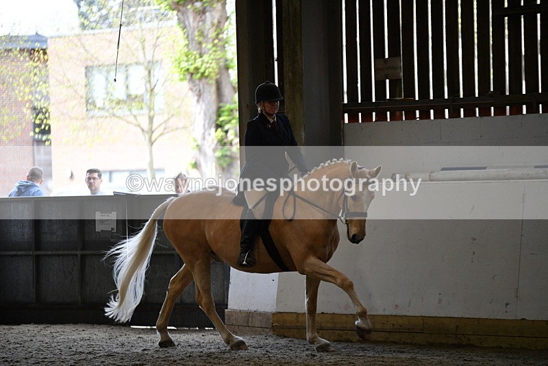 WJ5_6128 - Class 9 Ridden Veteran