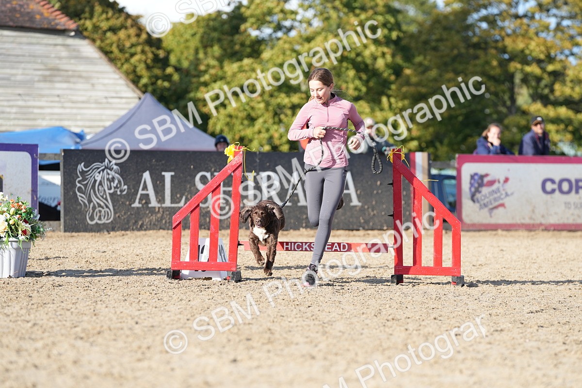 SBM_28960 - J43 - Horse & Hound Open 50cm