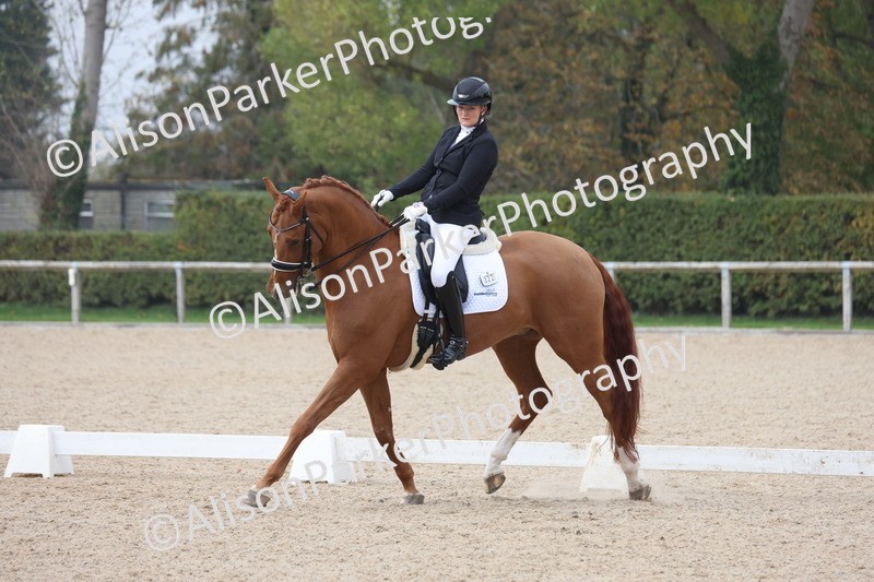 20251012-0794 - Class 9 - Advanced Medium 3