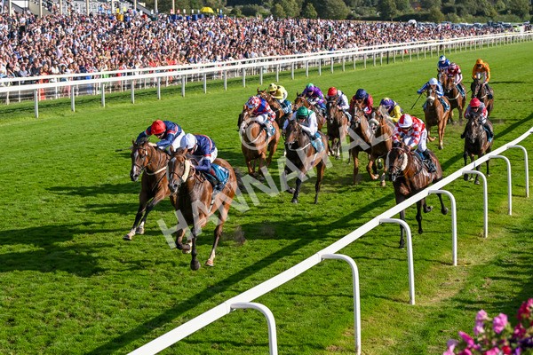 240824-Race 7-Sir Busker-1987 - Race 7 5.20pm Sky Bet Finale Handicap