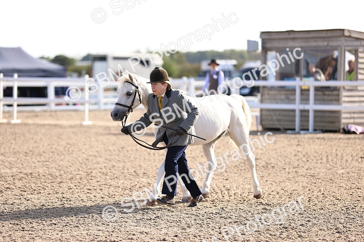 SBM_08522 - Class 402 - IH Veteran Pony