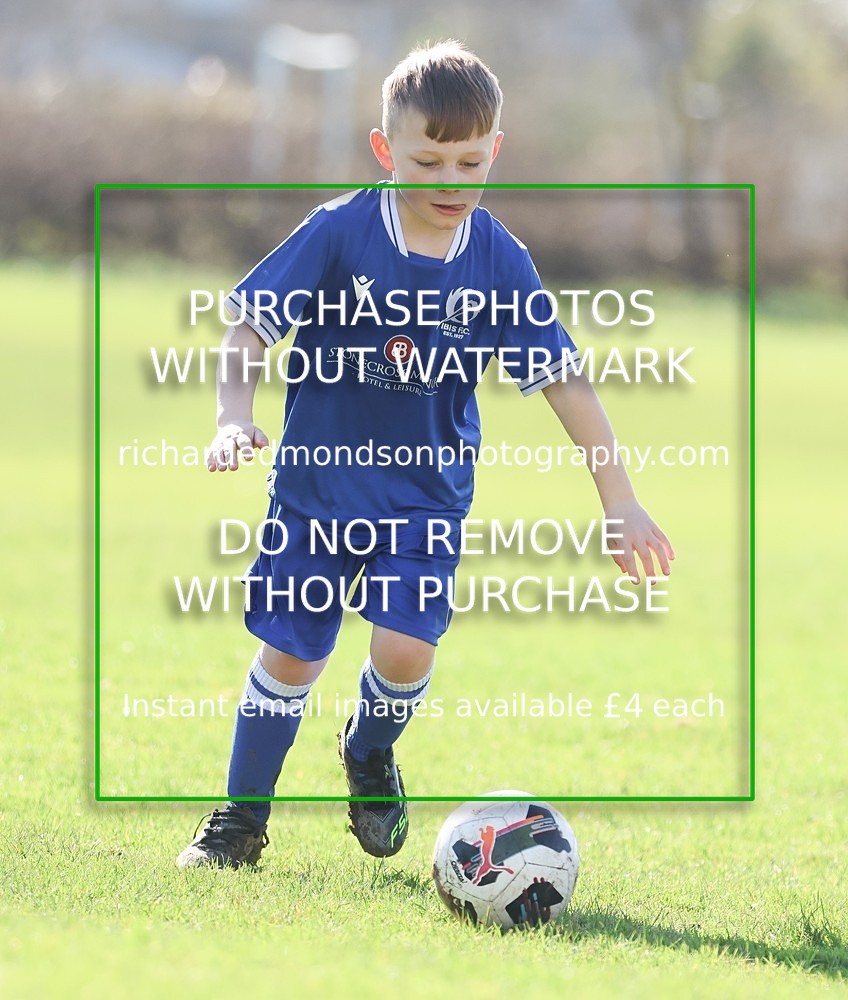 533A7845 - Ibis Under 8's (14/3/26)