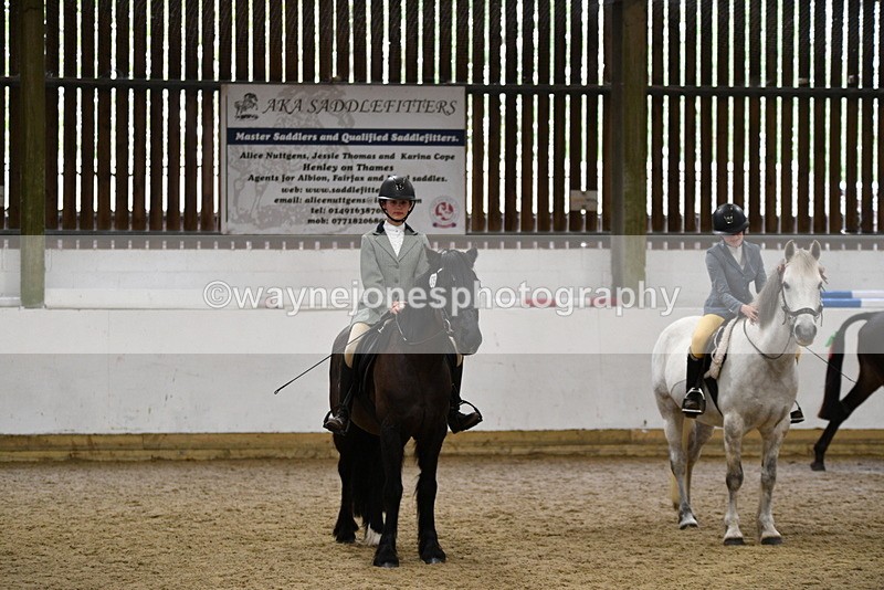 WJ5_8041 - Class 13 Ridden Part Breed