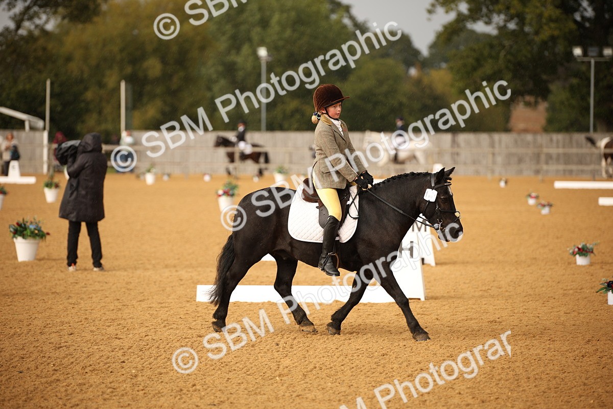 SBM_12374 - D3 Small  Tour Championship Intro A