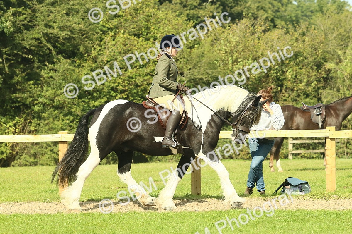 SBM_67431 - S56 - Coloured Pony Ridden