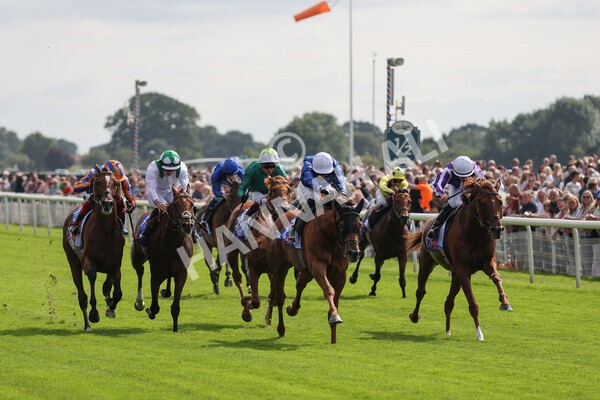 yr18082021r3-55 - Race 3 3.00pm Sky Bet Great Voltigeur Stakes