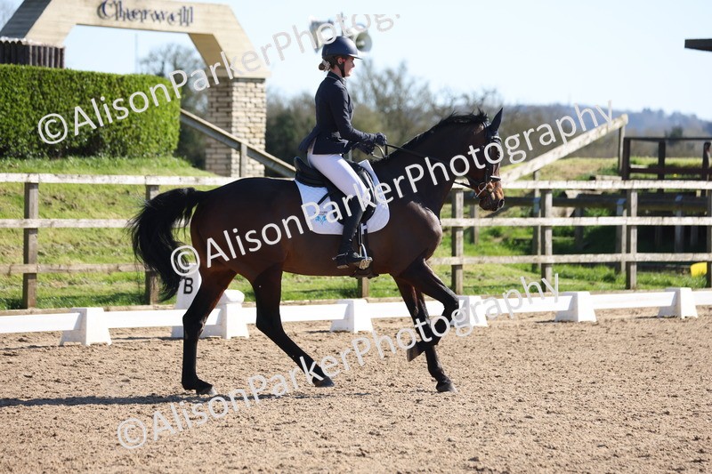 20260318-0553 - Class 5 - Novice 2