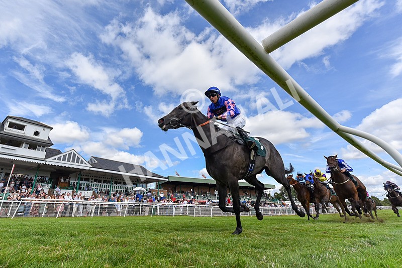 090725-Race 4-Invincible Ruby-6563 - Race 4