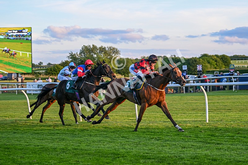 300525-Race 6-Glory Hyde-8013 - Race 6