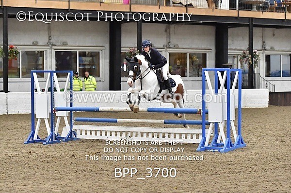 BPP_3700 - FRI CLASS 21 BR NOVICE/90CM