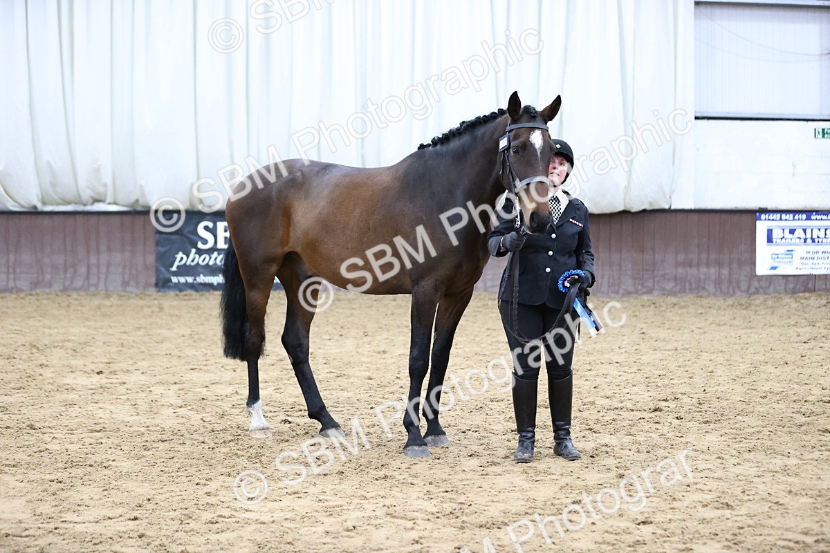 SBM_5780 - Class 3 - BSHA In Hand Show Hunter