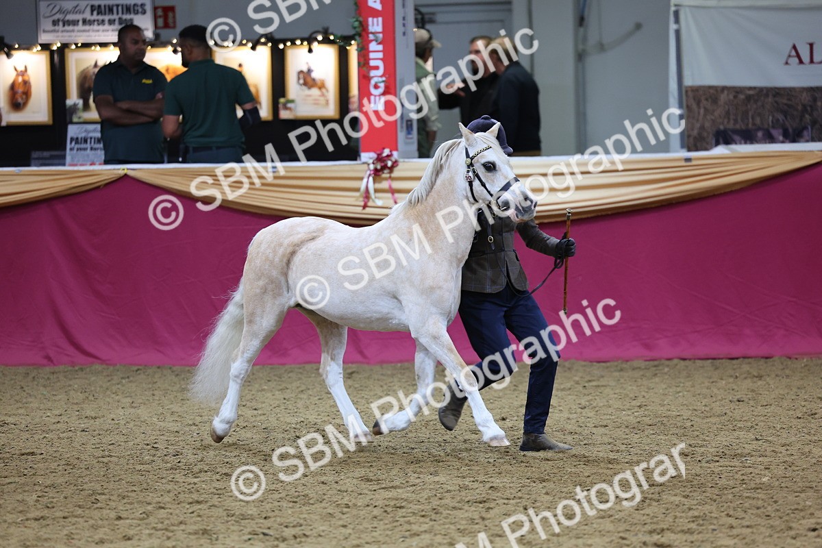 SBM_19460 - Class 901 - Supreme Final - IH Diamond