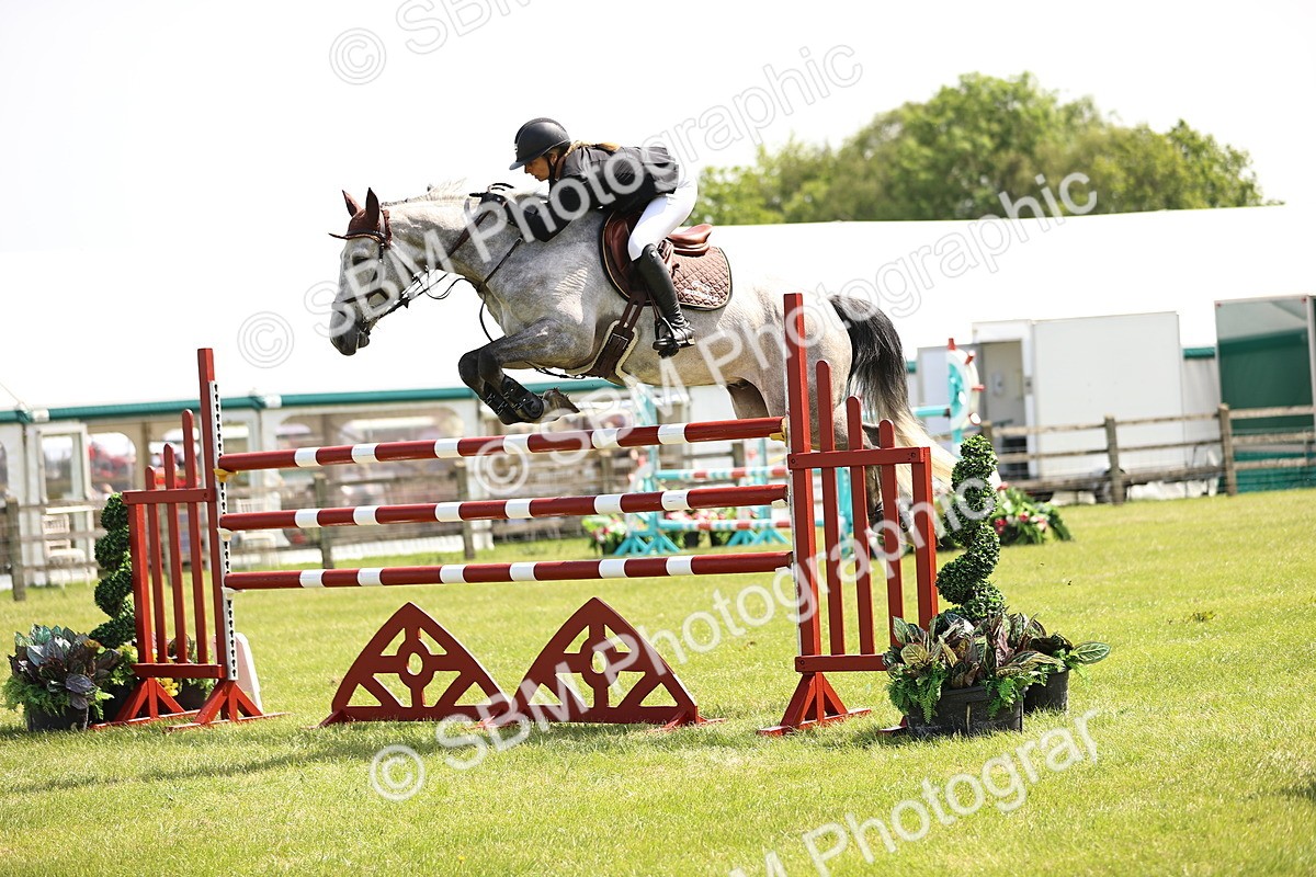 SBM_04002 - Class 201 - British Horse Feedds Speedi Beet HOYS Grade C
