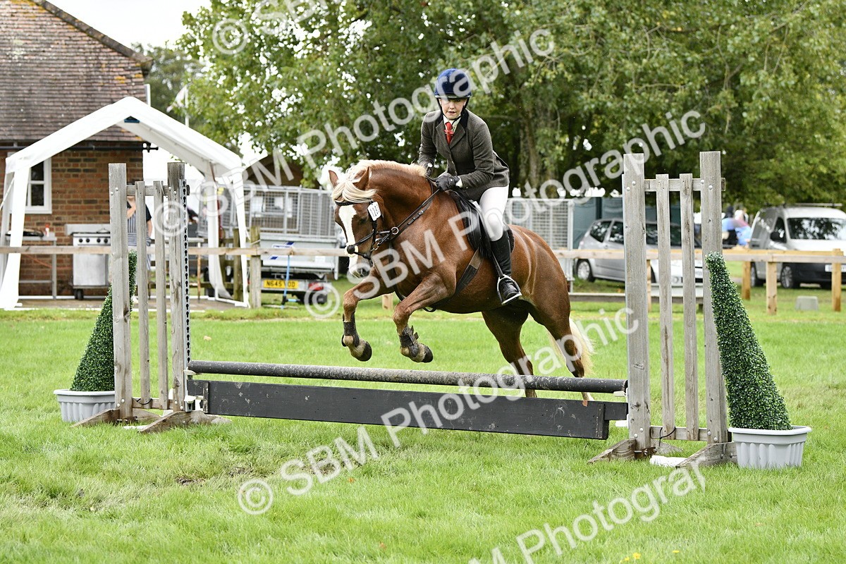 SBM_41365 - S32 - Mountain & Moorland Working Hunter Pony
