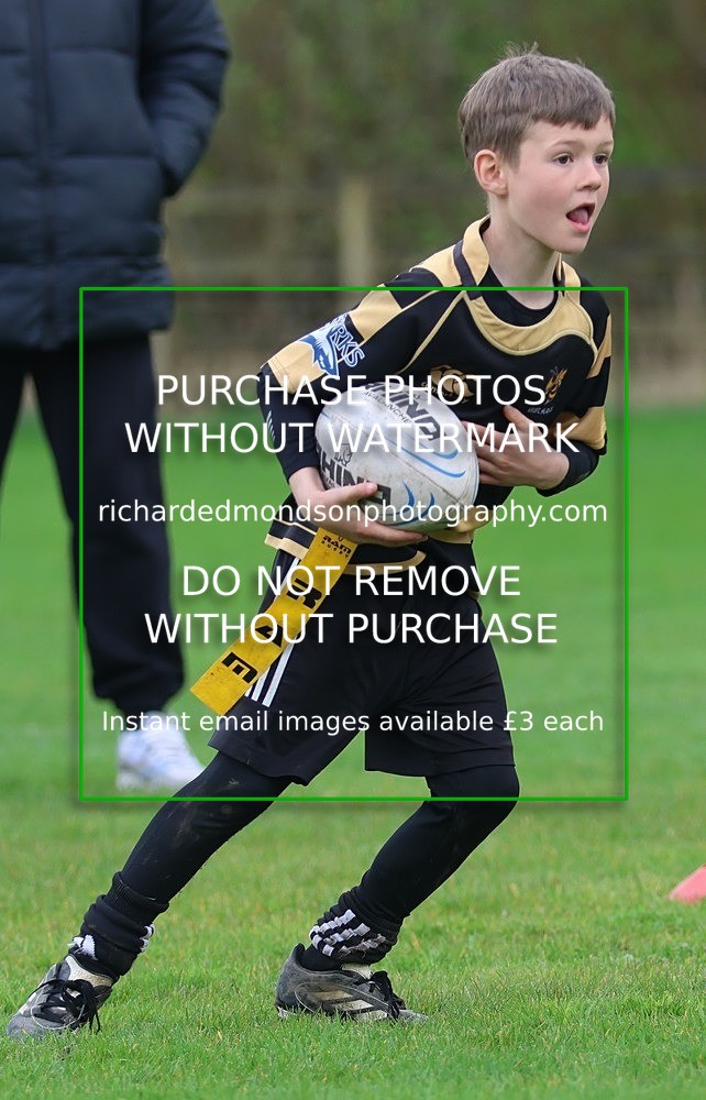 533A5262 - Kendal Rugby Under 7's (12/4/26)
