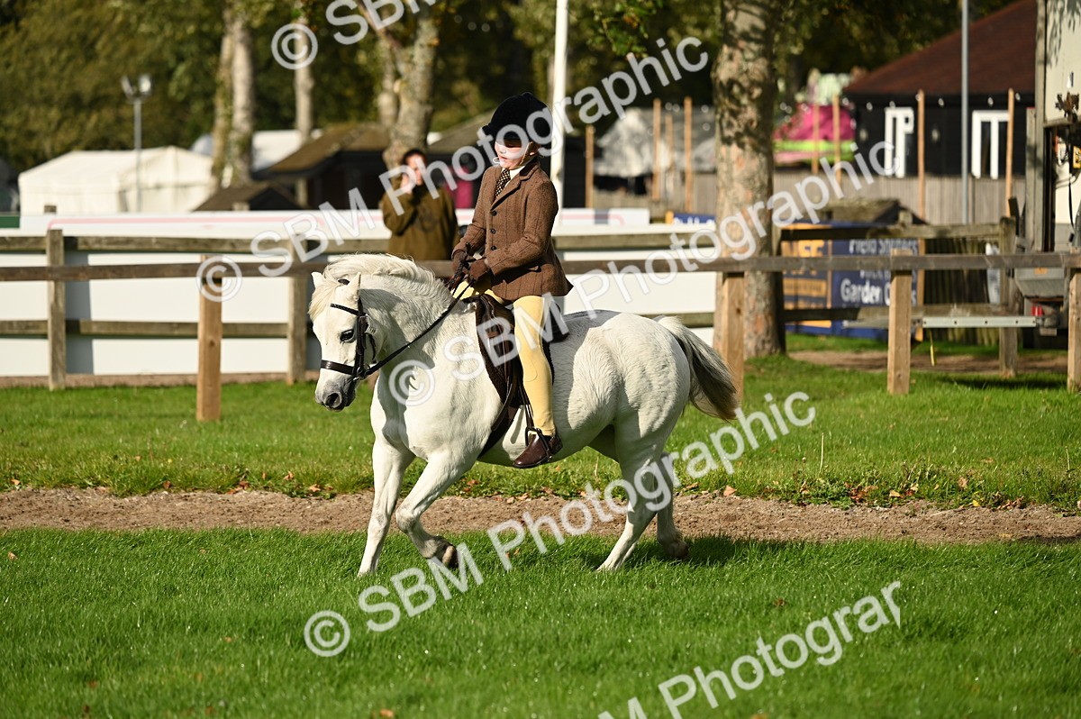 SBM_26645 - S7 - Novice & Newcomer Ridden Pony