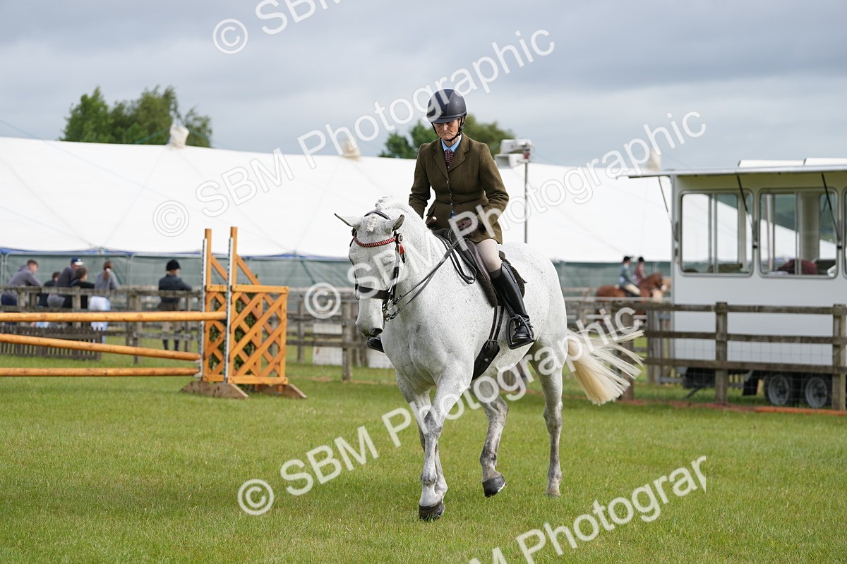 SBM_10597 - Class 97-98 - LIHS BSHA Rising Star Working Show Horse Hunter