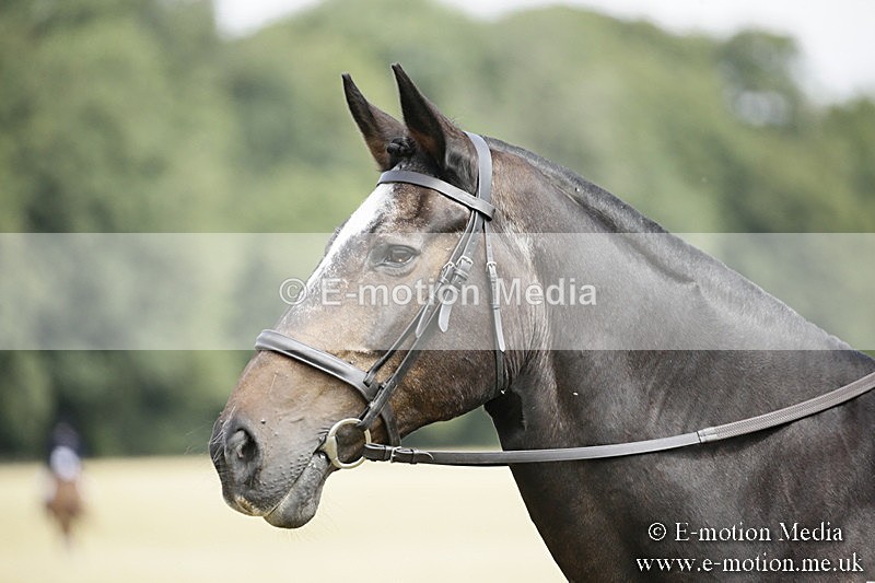 _EP59102 - Roving Camera BVRC Show 2018