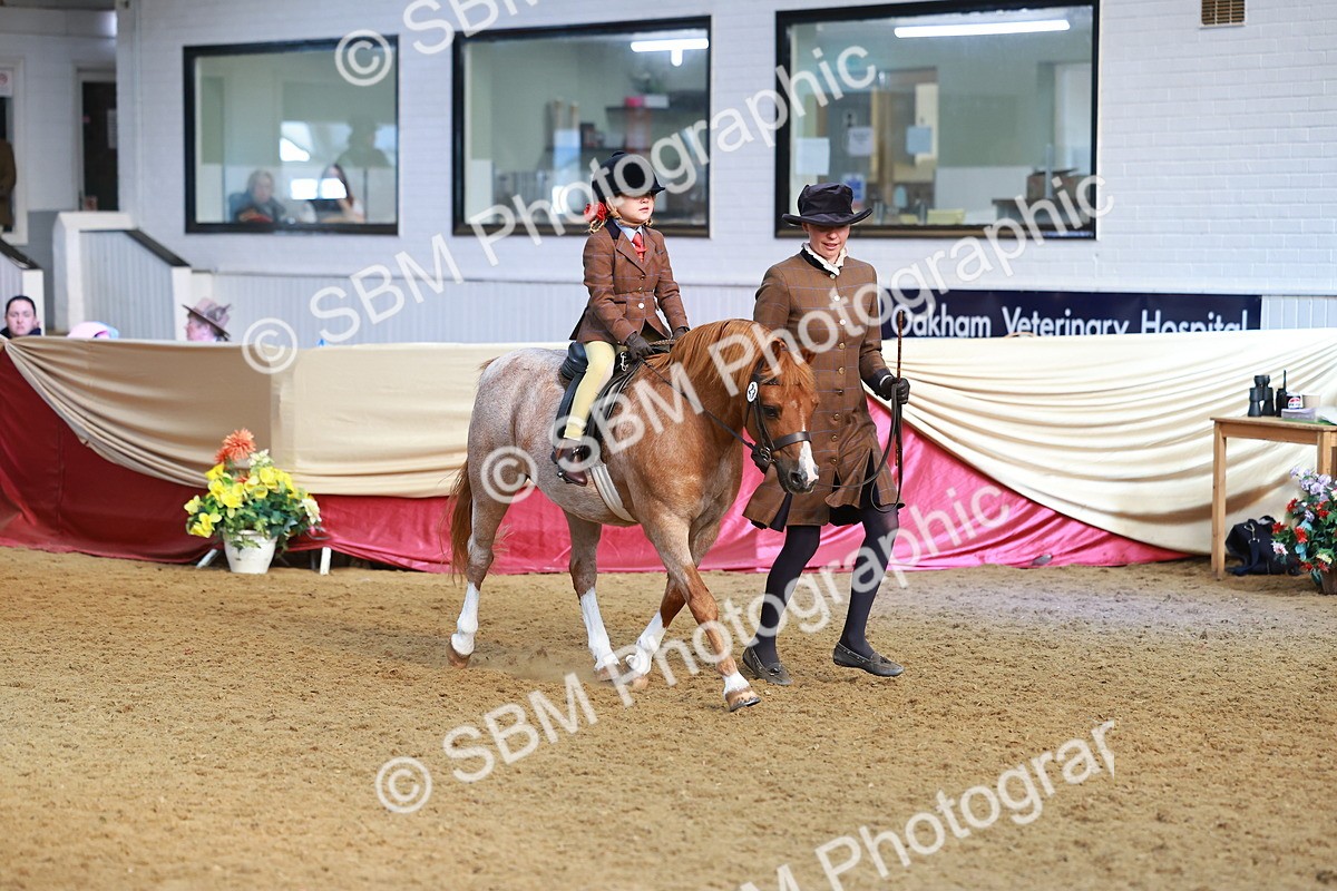 SBM_09559 - Class 102 - HOYS Veteran Qualifier - Ridden Veteran