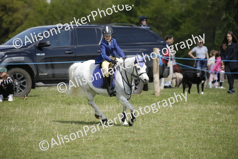 20250427-3576 - Class 14 - Absolute Novice 70cm