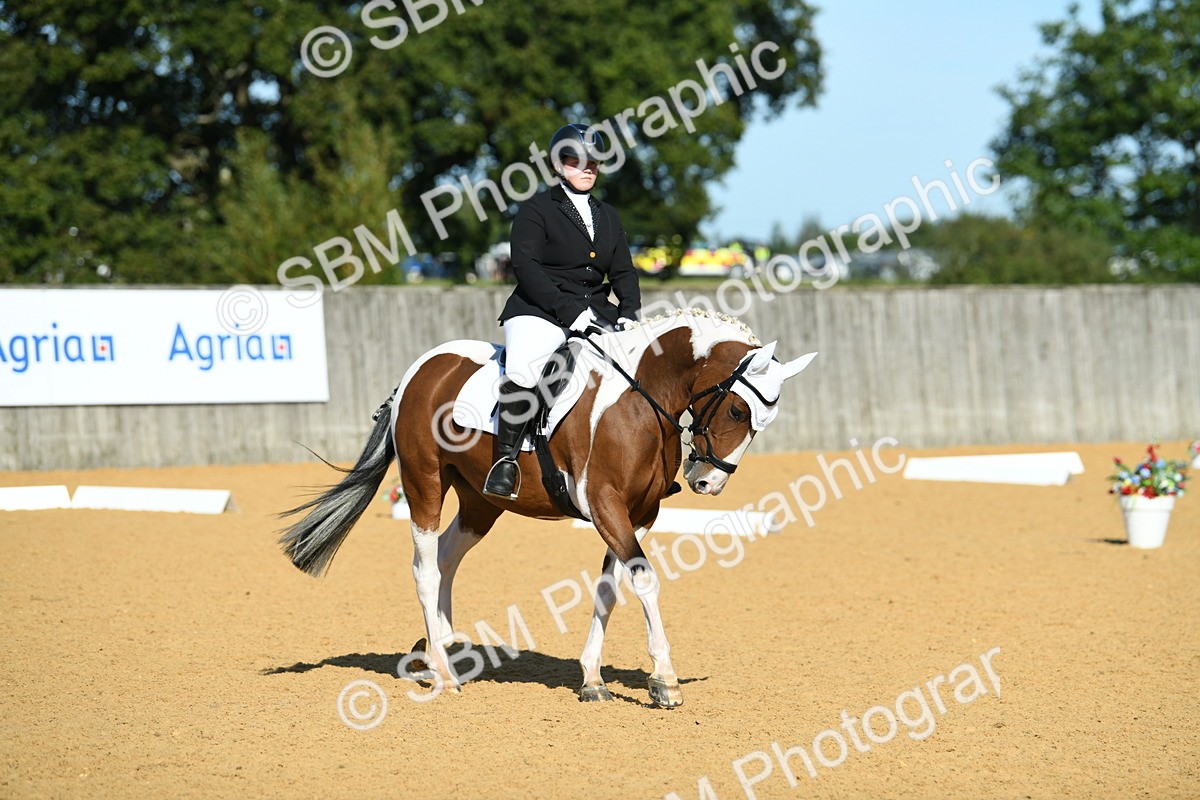 SBM_17932 - D4 - Small Tour Championship - Intro B