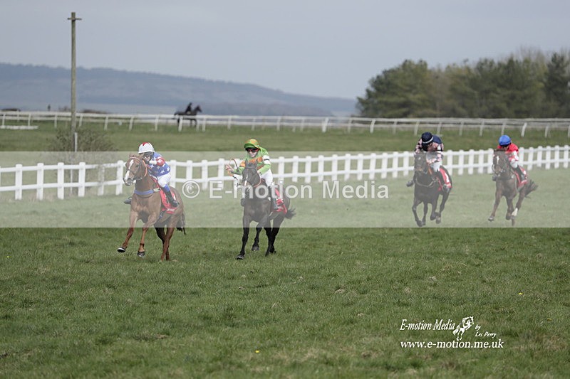 PtP 260323 0996 - New Forest Hounds Point-to-Point Larkhill 26/03/23