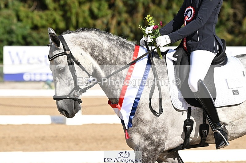 250808A-170033-02183 - Novice GOLD Presentations