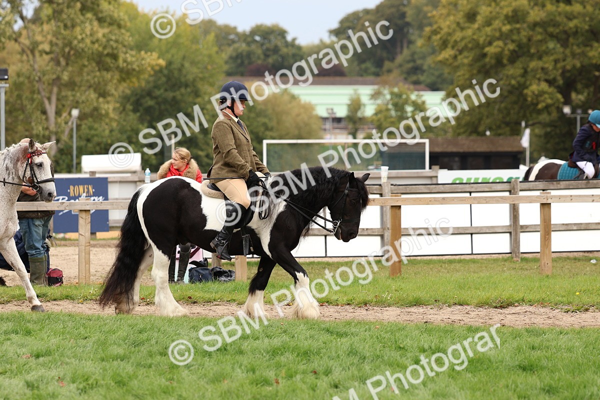 SBM_64387 - S58 - Coloured Pony Ridden